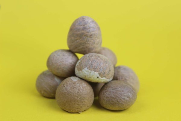 Pujabag Betal Nut/ सुपारी -Small size 15 pieces