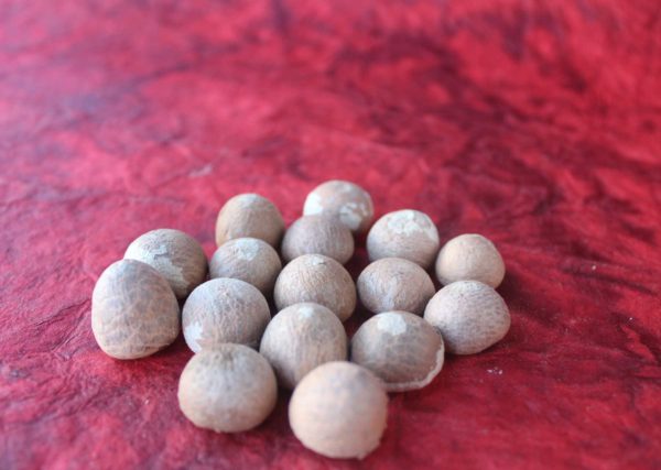 Pujabag Betal Nut/ सुपारी -Small size 15 pieces Image